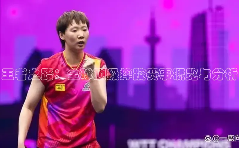 王者之路：全球顶级摔跤赛事概览与分析