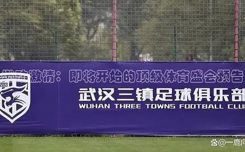 燃动激情：即将开始的顶级体育盛会预告