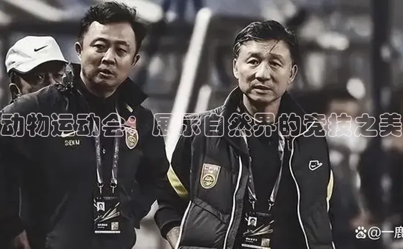 动物运动会：展示自然界的竞技之美