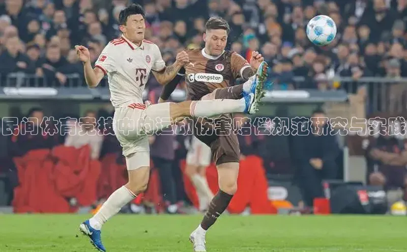 民间体育竞技中的运动伤害赔偿规范研究与实践